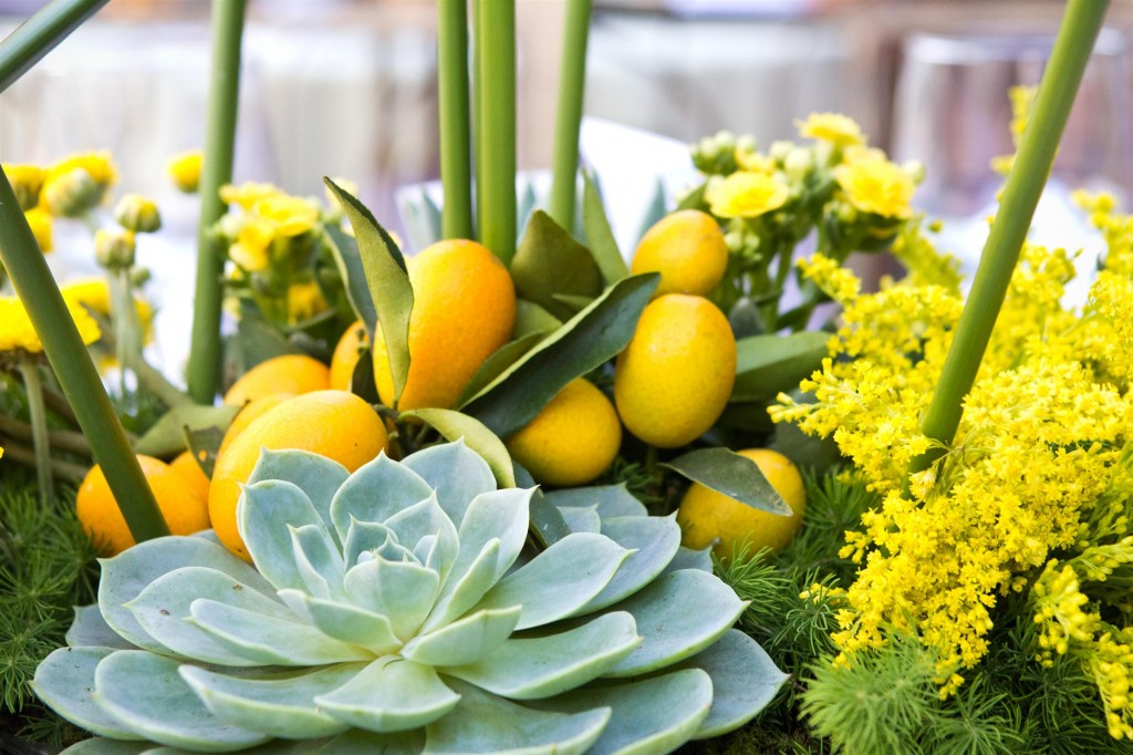 Detalhe do arranjo de mesa com echeveria