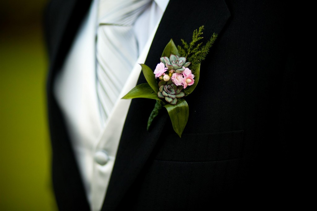 Arranjo de lapela com echeverias