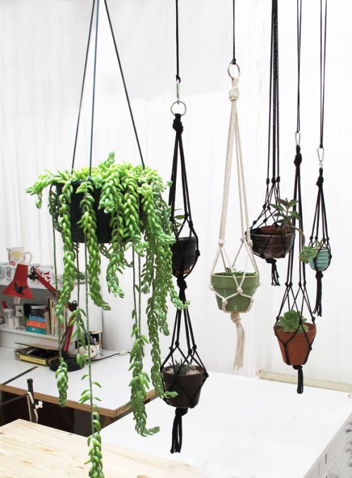 hanging-garden2
