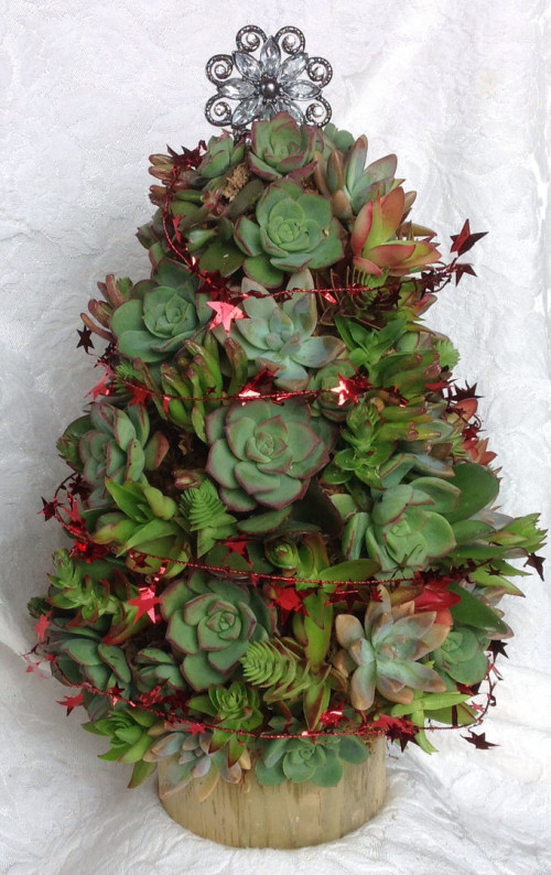 http://www.creativemetime.com/succulent-forms.html